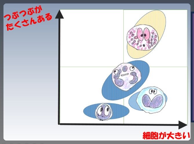 白血球 の 増やし 方