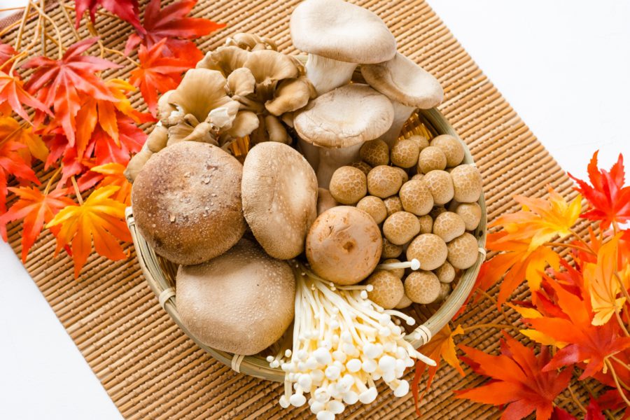 秋のきのこ