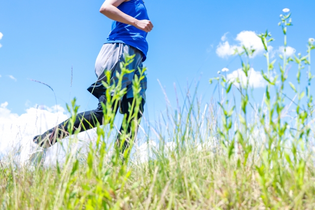 スポーツの秋に備えて