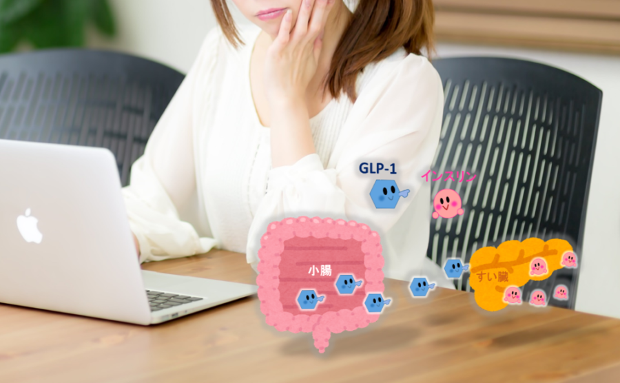 糖尿病治療とインクレチンとインスリン